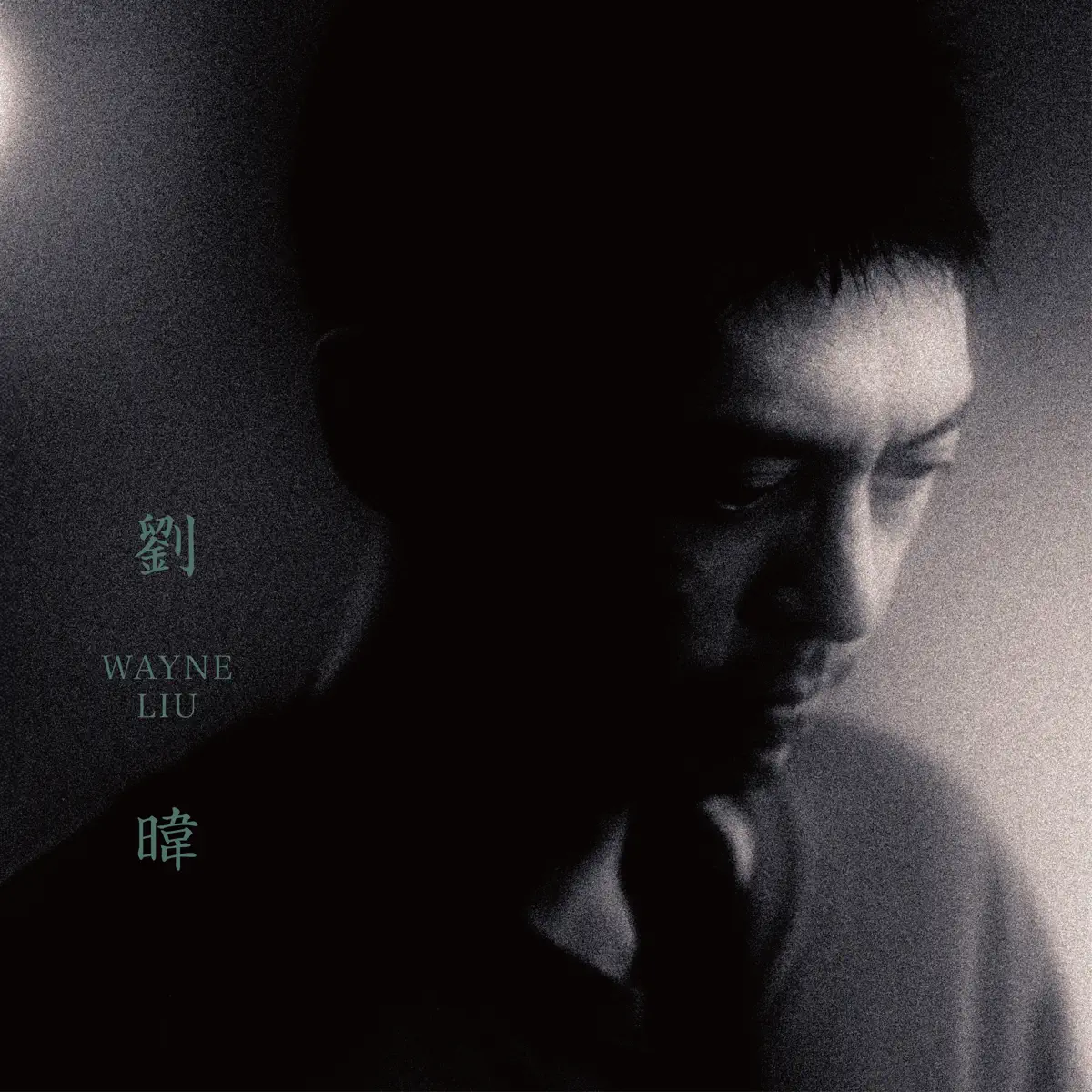 劉暐 - 劉暐個人專輯 (2024) [iTunes Plus AAC M4A]-新房子