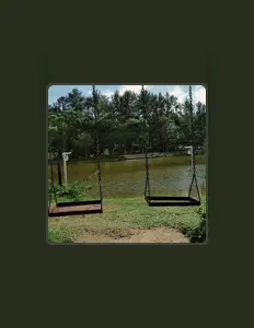 DORPE dinle, müzik videolarını izle, biyografisini oku, tur tarihlerini ve daha fazlasını gör!