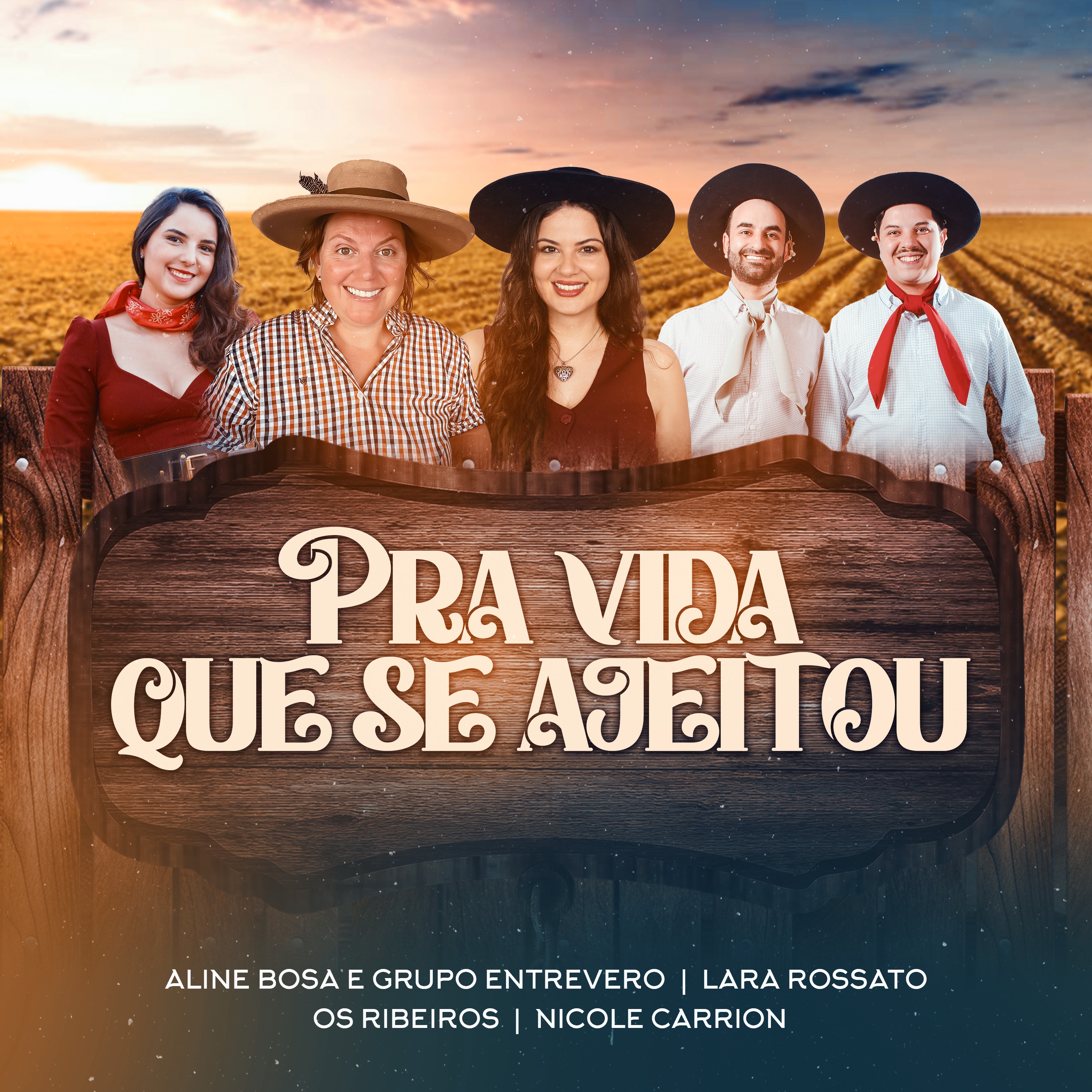 Pra Vida Que Se Ajeitou - Single