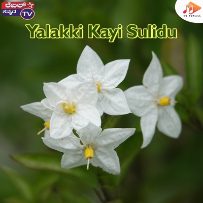 Yalakki Kayi Sulidu - Single