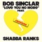 Love You No More (feat. Shabba Ranks) - Bob Sinclar lyrics