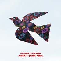 Asta-i Țara Mea - Single - Satoshi & Vasile Advahov