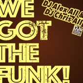 We Got the Funk! artwork