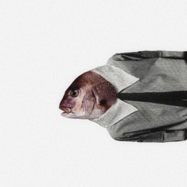 FISH-EYE (feat. NeS) Lyre