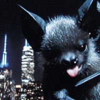 kiss me to the beat (feat. Noztalgia) - Single - Wizzyx