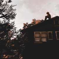 Bad Luck - Single - Foreign Forest