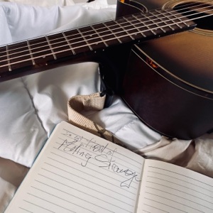 the shirt song - Single
