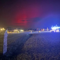 Kief Chief (feat. Young Robbery) - Single - Bp2nice