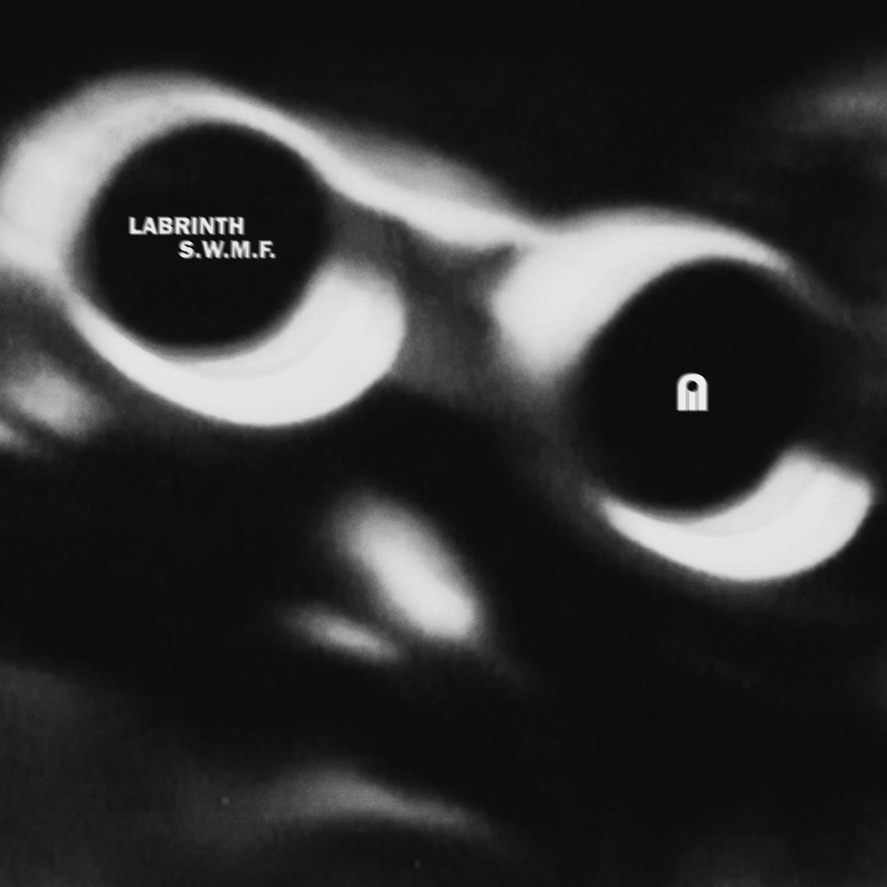 S.W.M.F. - Labrinth