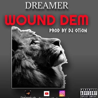 Wound Dem - Single