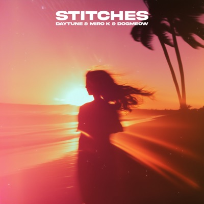 Stitches - Single