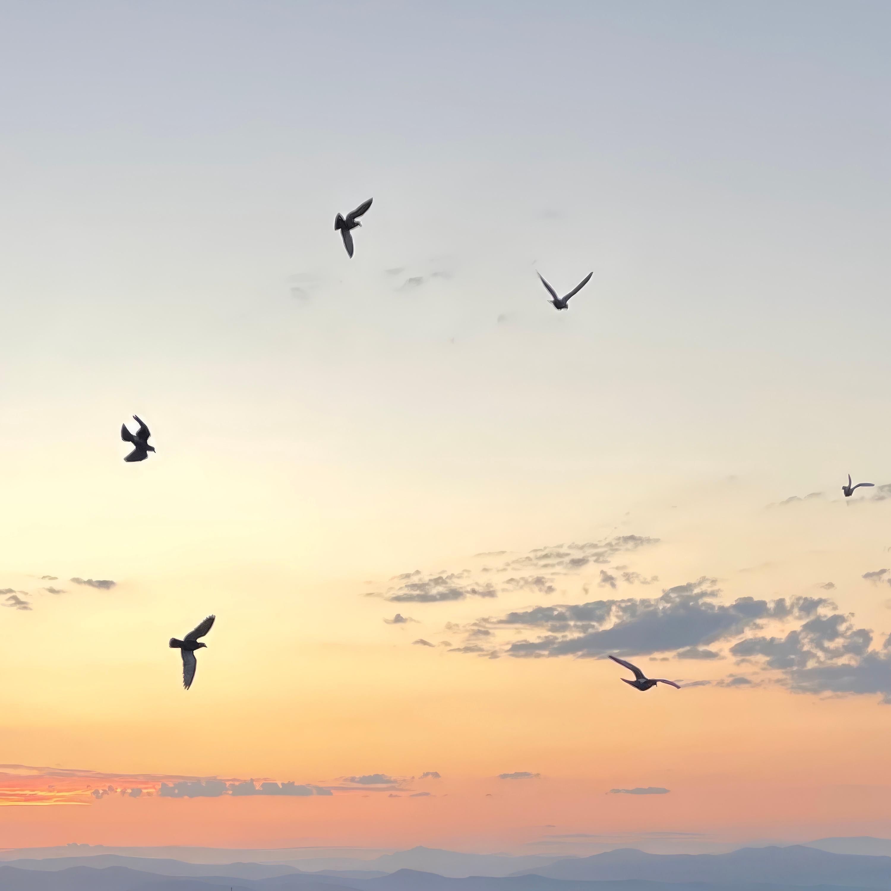 Lekka materia słów