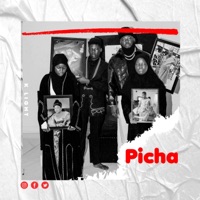 PICHA - Single - K LIGHT