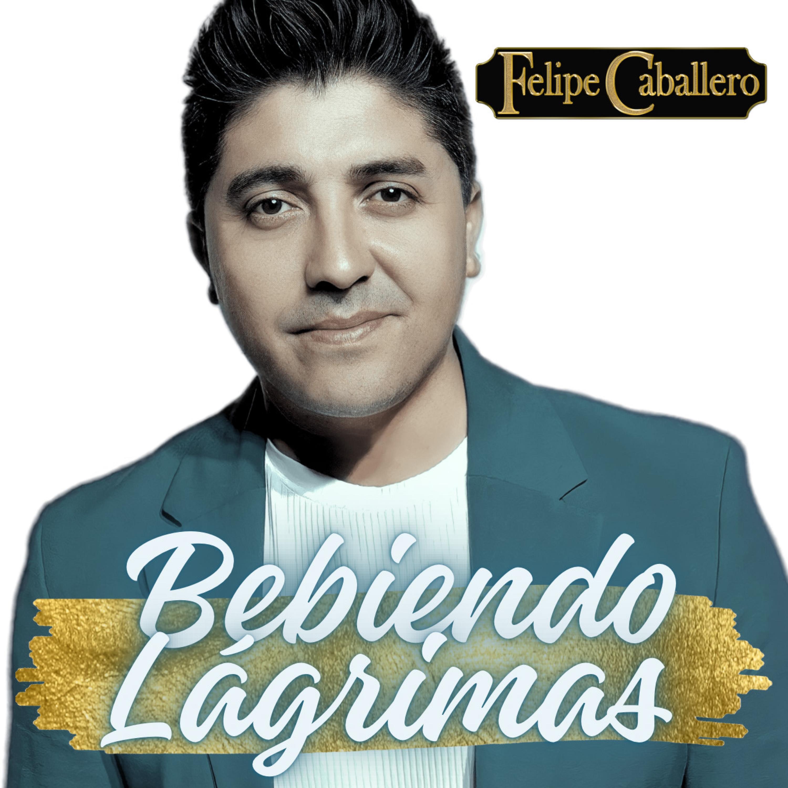 Bebiendo Lágrimas - Single