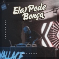 ELA PEDE BENÇA (MÃE SOLTEIRA) - Single - Wallace DJ