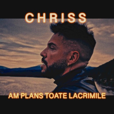 Am Plans Toate Lacrimile - Single