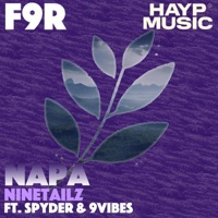 NAPA - Single - Ninetailz, Spyder & 9vibes
