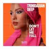 Don't Let Me Fall