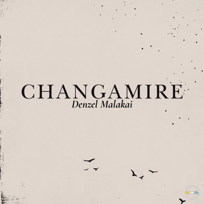 Changamire - Single