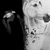 Pokeepsie (feat. Tronxo) - Single - LeasiG