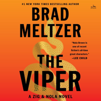 The Viper - Brad Meltzer Cover Art
