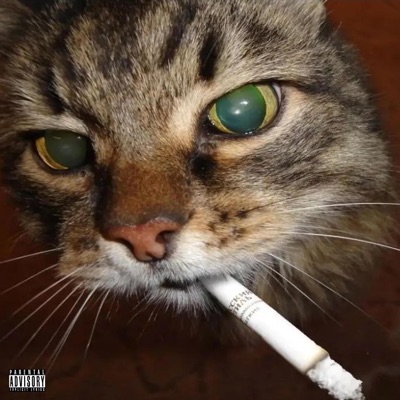 stunttt*freestyle - Single