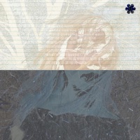 VERTIGO - Single - Babebee