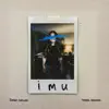 IMU