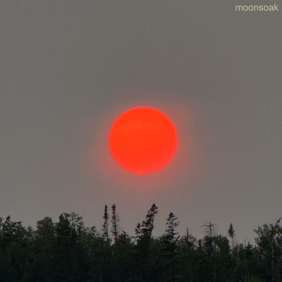 Moonsoak (feat. Tora) - EP
