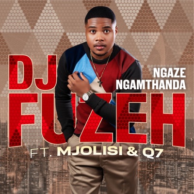 Ngaze ngamthanda (feat. Mjolisi & Qoqa Q7) - Single