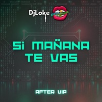 Si mañana te vas (After VIP) - Single - Dj Luciano Troncoso & Dj Loke