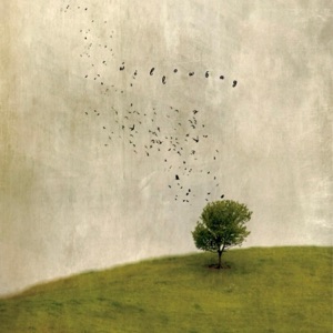 I Will Survive - Single
