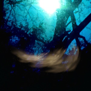 Witchcraft