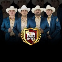 Corridos De Encargo - EP - Grupo N1