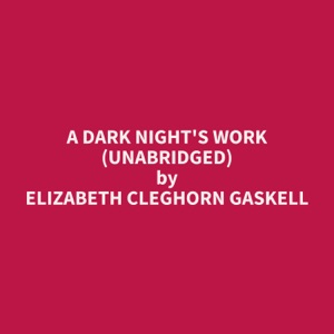 A Dark Night's Work (Unabridged)