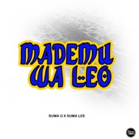 Mademu Wa Leo (feat. Suma Lee) - Single - Suma G