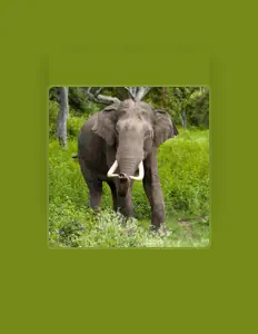 UH!! सुनें, म्यूज़िक वीडियो देखें, बायो पढ़ें, दौरे की तारीखें और बहुत कुछ देखें!