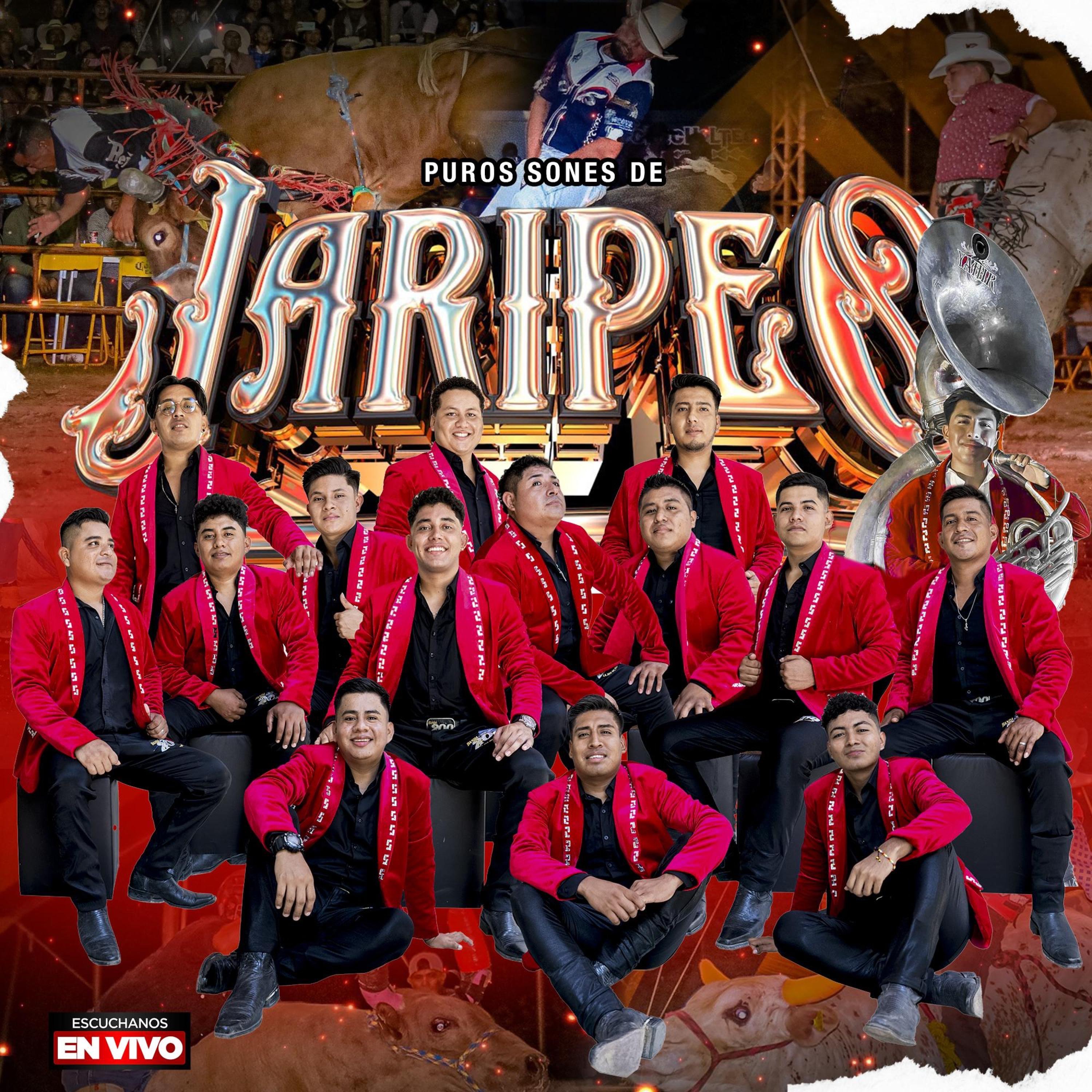 Puros Sones De Jaripeo