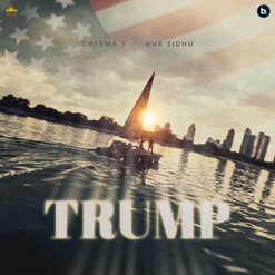 TRUMP cover art