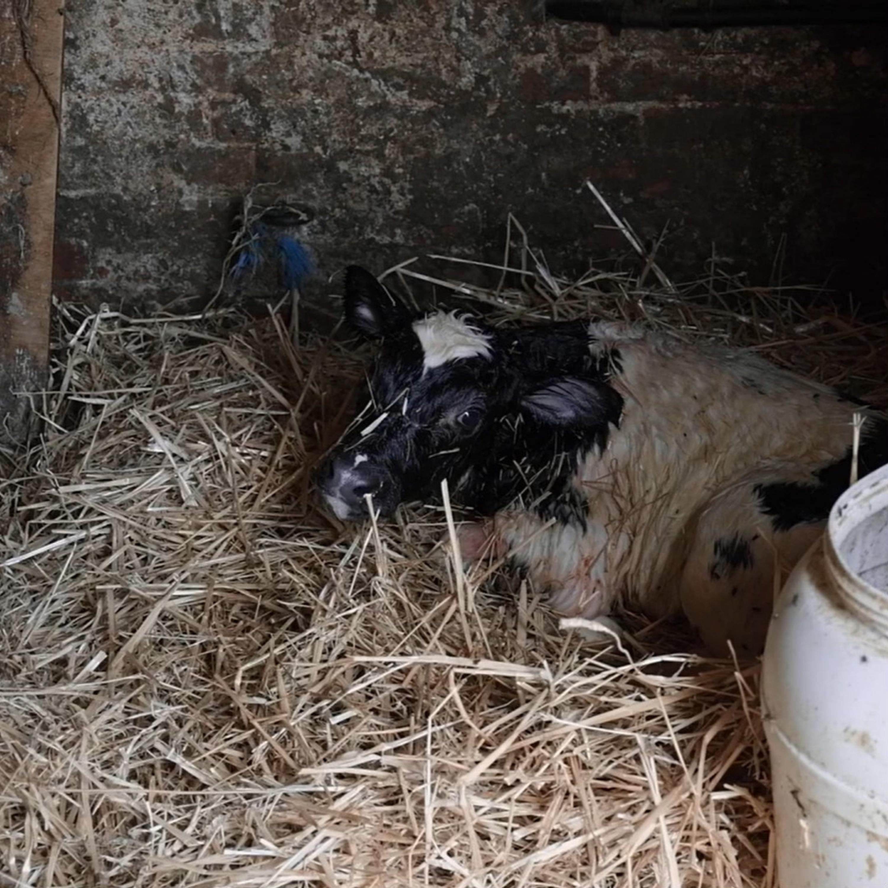 À reprendre ou à laisser - EP