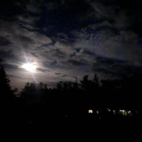 iria (feat. 800pts) - Single - mintedzerosix