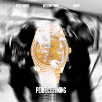 Perfect Timing - Single - Peso 90003, Craev & Mellow Thing