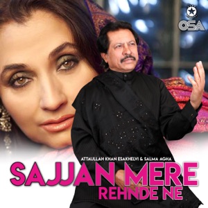 Sajjan Mere Rehnde Ne - Single