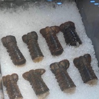 The Hood Has Eyez 2007 Uncut Full Movie Watch Online HD Free - EP - Man At Breakfast