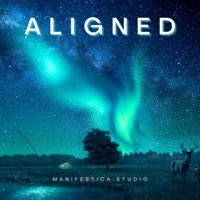 Aligned - Single - manifestica_studio