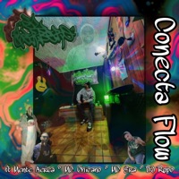 CONECTA FLOW (feat. Mente Aérea, Mc Chicano, MC era & Dj Ropo) - Single - El Yerbero
