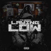 Laying Low - drinceion