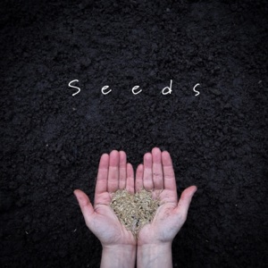 Seeds (feat. Carrie Tree) - Single
