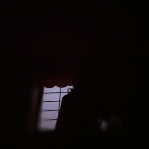 Praise of Youth - Single