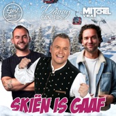 Skiën Is Gaaf artwork